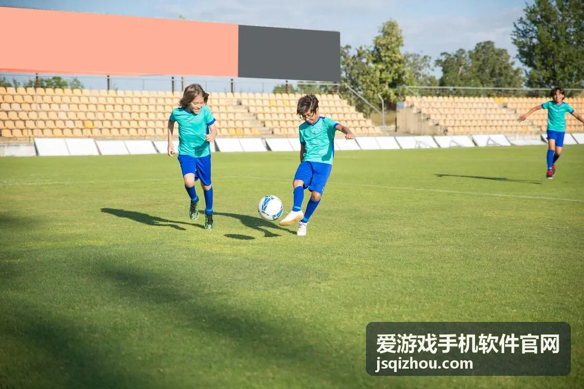 爱游戏手机软件官网 权限与账号安全设置界面示意