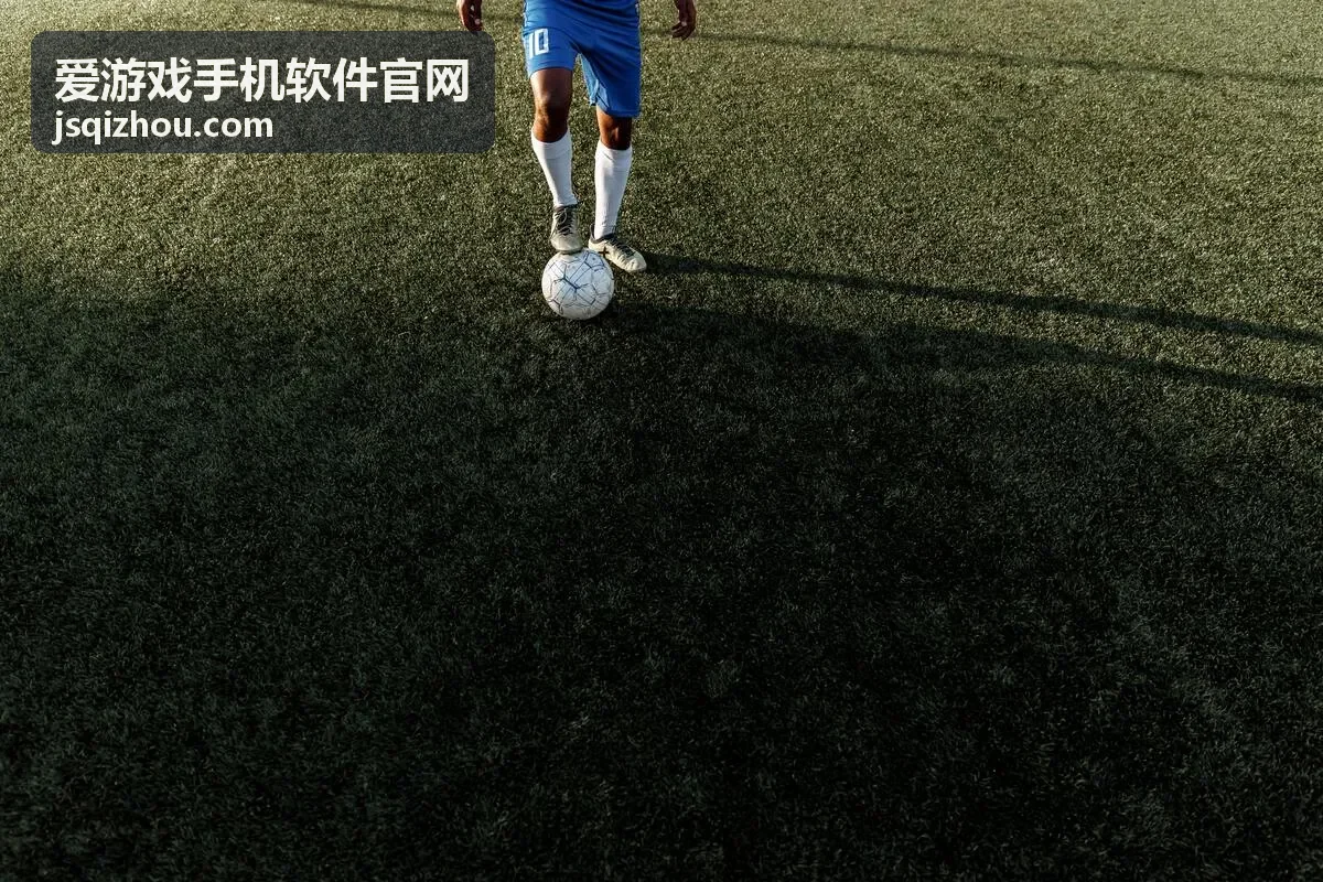 爱游戏手机软件官网软件工具与账号安全说明配图