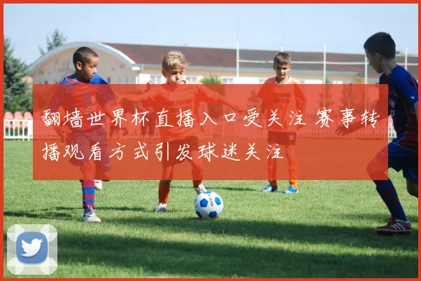 翻墙世界杯直播入口受关注 赛事转播观看方式引发球迷关注
