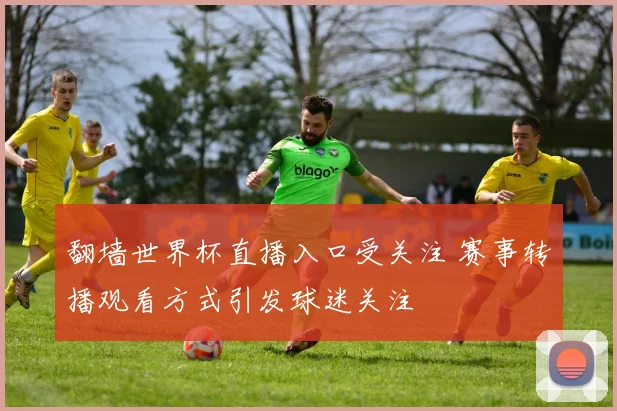 翻墙世界杯直播入口受关注 赛事转播观看方式引发球迷关注